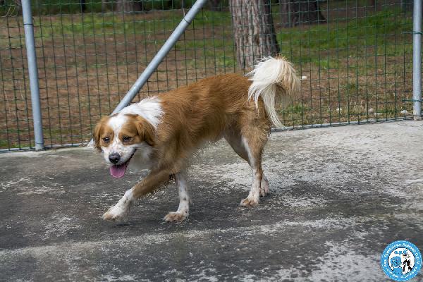 ROKY – Quando perdi tutto, ma non la voglia di amare Foto 5